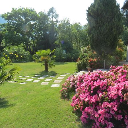 Villa Morissolina Trarego Exterior photo