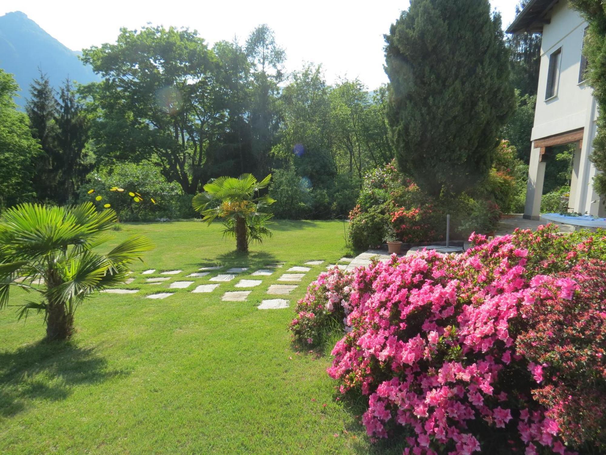 Villa Morissolina Trarego Exterior photo